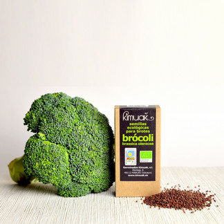 Frutos secos, semillas y germinados