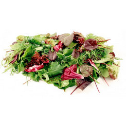 Mezclum profesionales